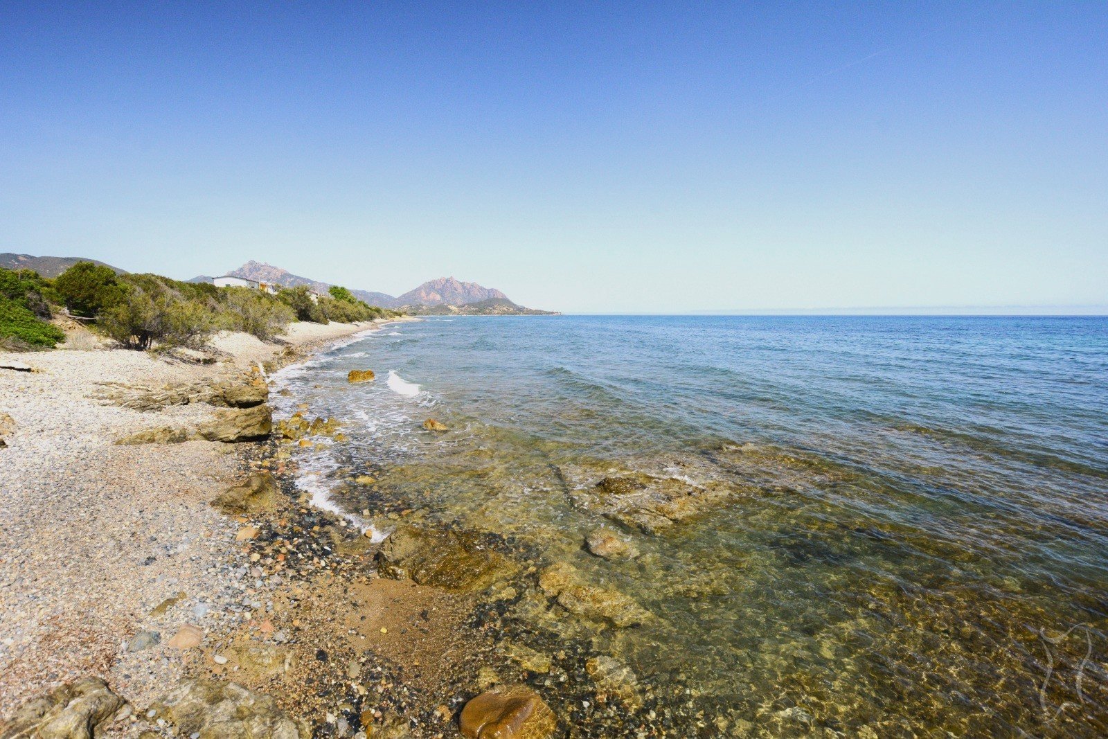 Barisoni - Sardenya