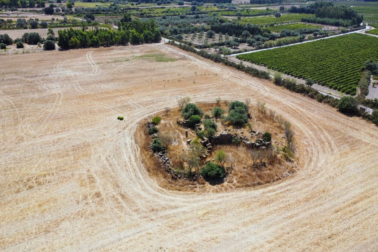 Maringianu