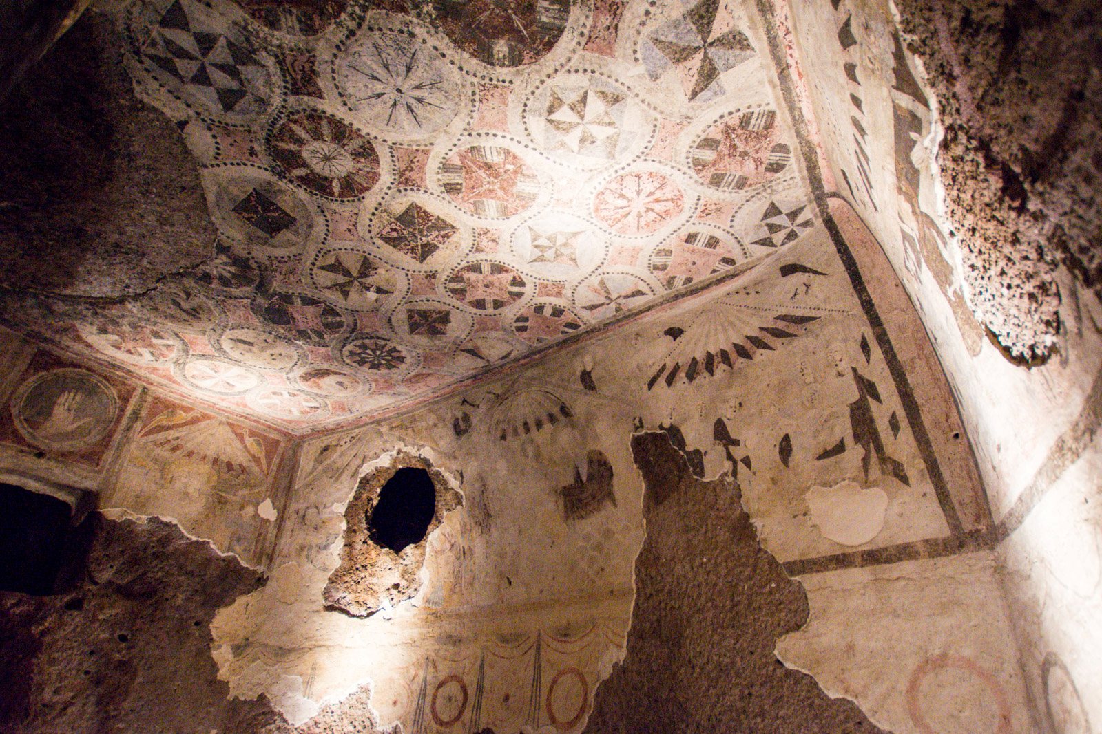 A Culture of a Thousand Roots