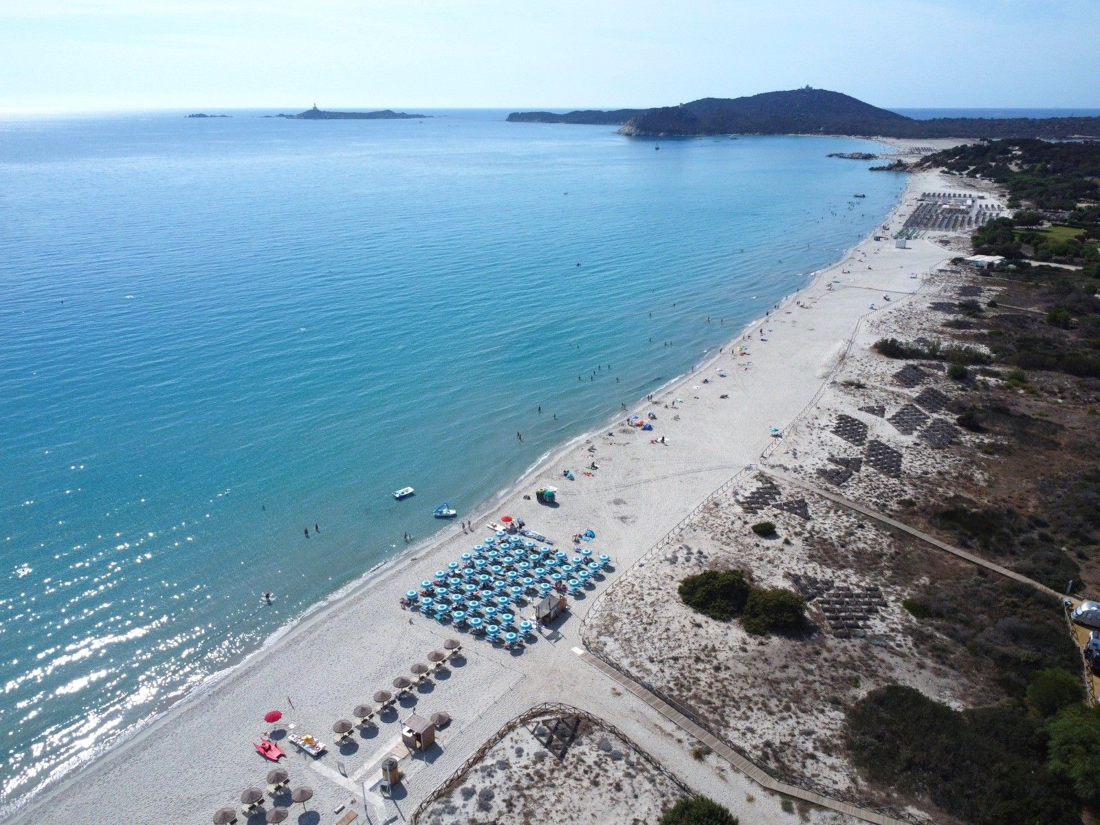 Simius