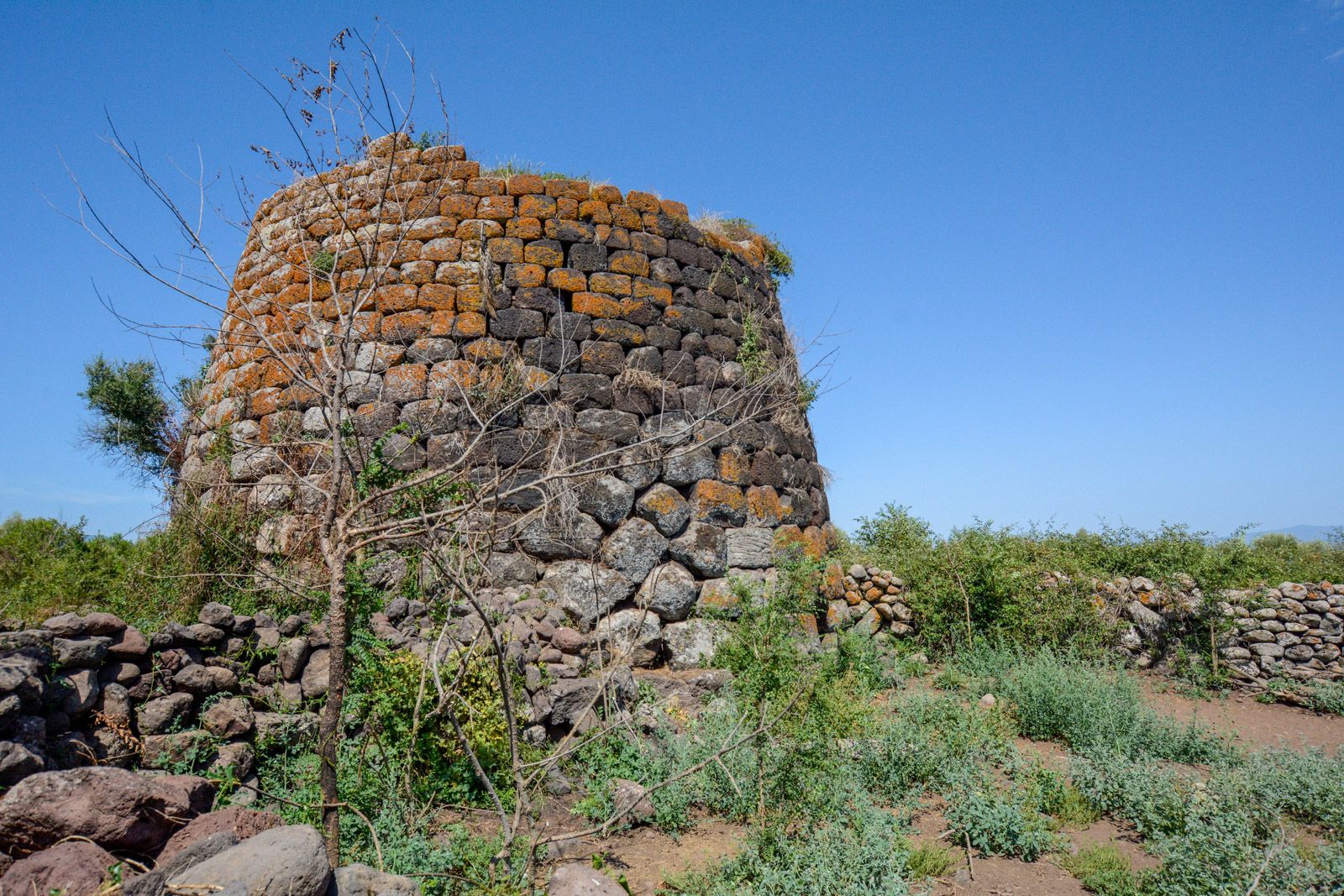 Tosingalo